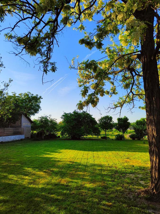 Bed and Breakfast Ethno&Coffee House Tulip Glozan Exteriér fotografie