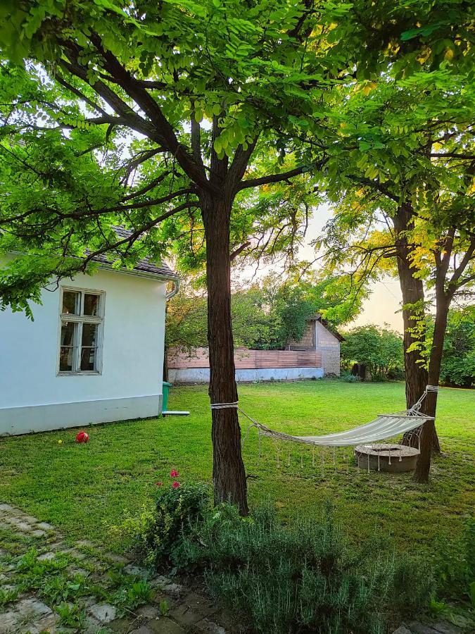 Bed and Breakfast Ethno&Coffee House Tulip Glozan Exteriér fotografie
