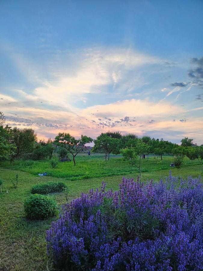 Bed and Breakfast Ethno&Coffee House Tulip Glozan Exteriér fotografie